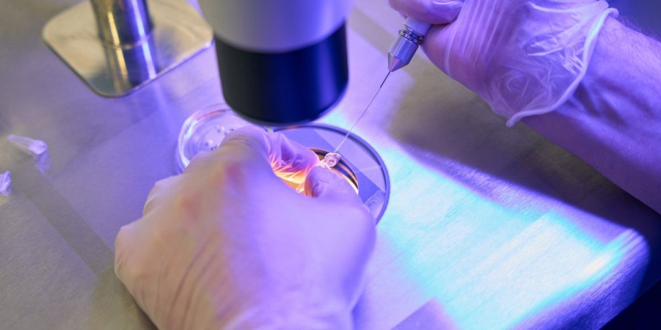 Naučnici se bave ozbiljnom tematikom: Da li mršavljenje pomaže tokom vantelesne oplodnje?