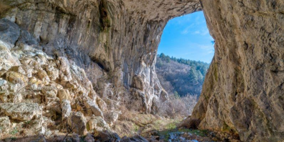 Na Zlatiboru otkrivena nova atrakcija! Prerast u Dobroselici skriveno čudo prirode (FOTO)