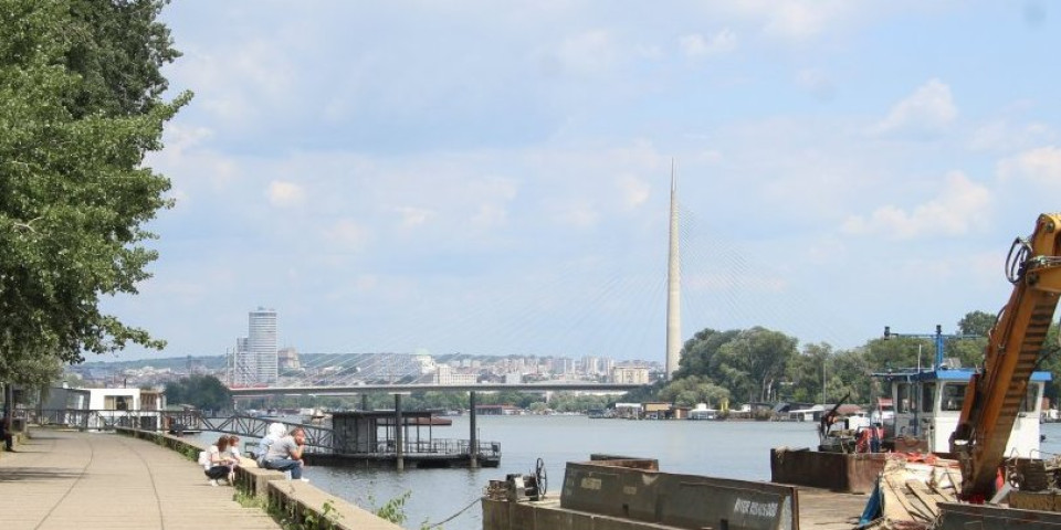 Srpski šakal piše istoriju: Preplivao Savu i Dunav, pa zaintrigirao Evropu - Otkriveno putem GPS-a dokle je stigao (FOTO)
