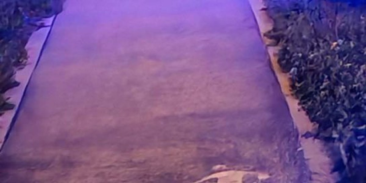 Telo  muškarca nasred ulice