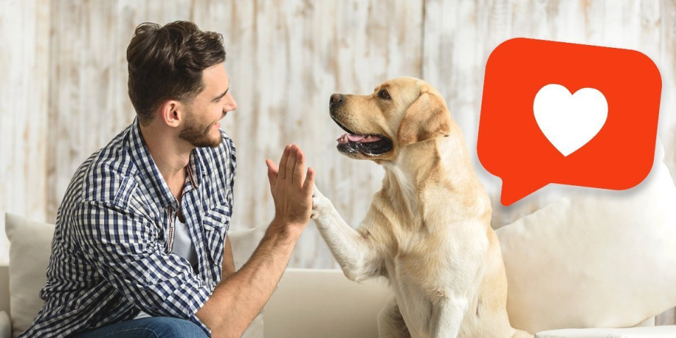 Ako vam se javio bivši, proverite, možda je nazvao kerušu po vama: Psiholog o šok ponašanju muškaraca i žena