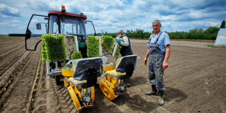 Ovo je najprofitabilnija poljoprivredna kultura! Đerđ Pap i Tibor Almaši ne kriju zadovoljstvo, ovo je njihova priča (FOTO)
