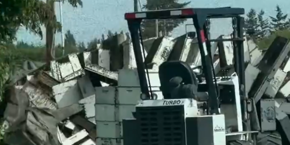 Pobeglo 250 miliona pčela: Totalni haos na severu Vašingtona (FOTO/VIDEO)