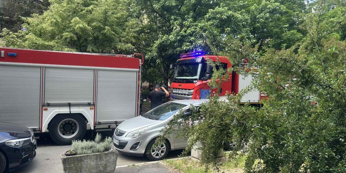 Jeziv požar na imanju u Futogu: Ima povređenih (FOTO)