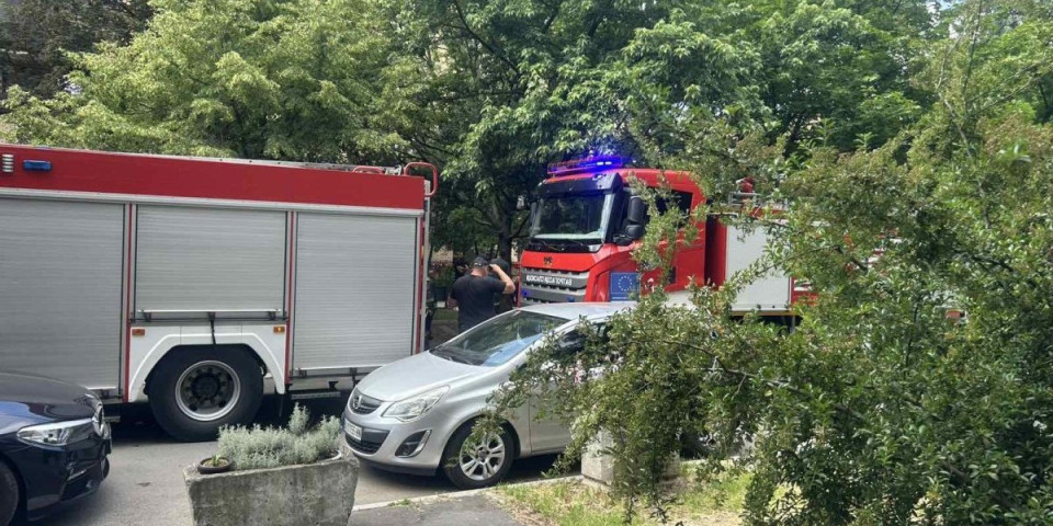 Jeziv požar na imanju u Futogu: Ima povređenih (FOTO)