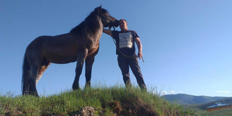 Ubijen konj na Zlatiboru: Osumnjičeni priznao da ga je tukao i gađao