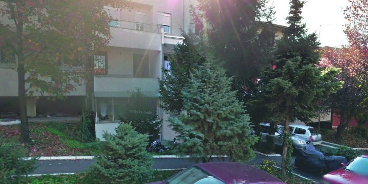 Opasne komšije u Mirijevu: Dolaze iz šume i upadaju u dvorišta