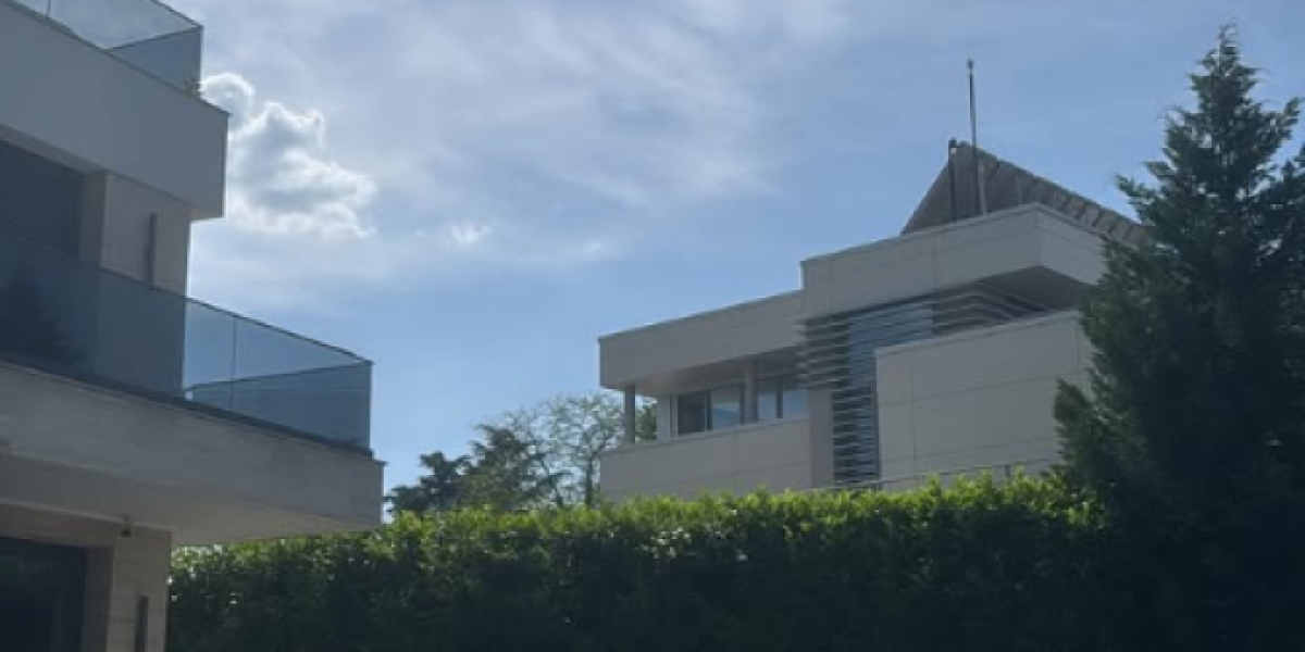 Vila Harisa Džinovića na Senjaku