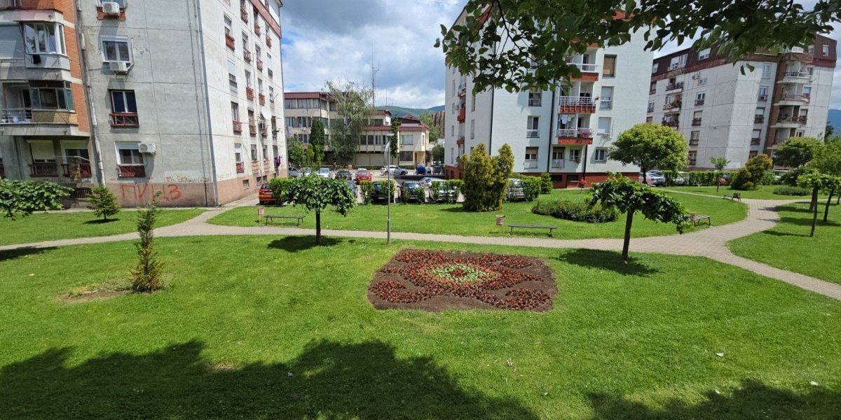 Složile ga, bez greške! Piroćanci oduševljeni prizorom u parku