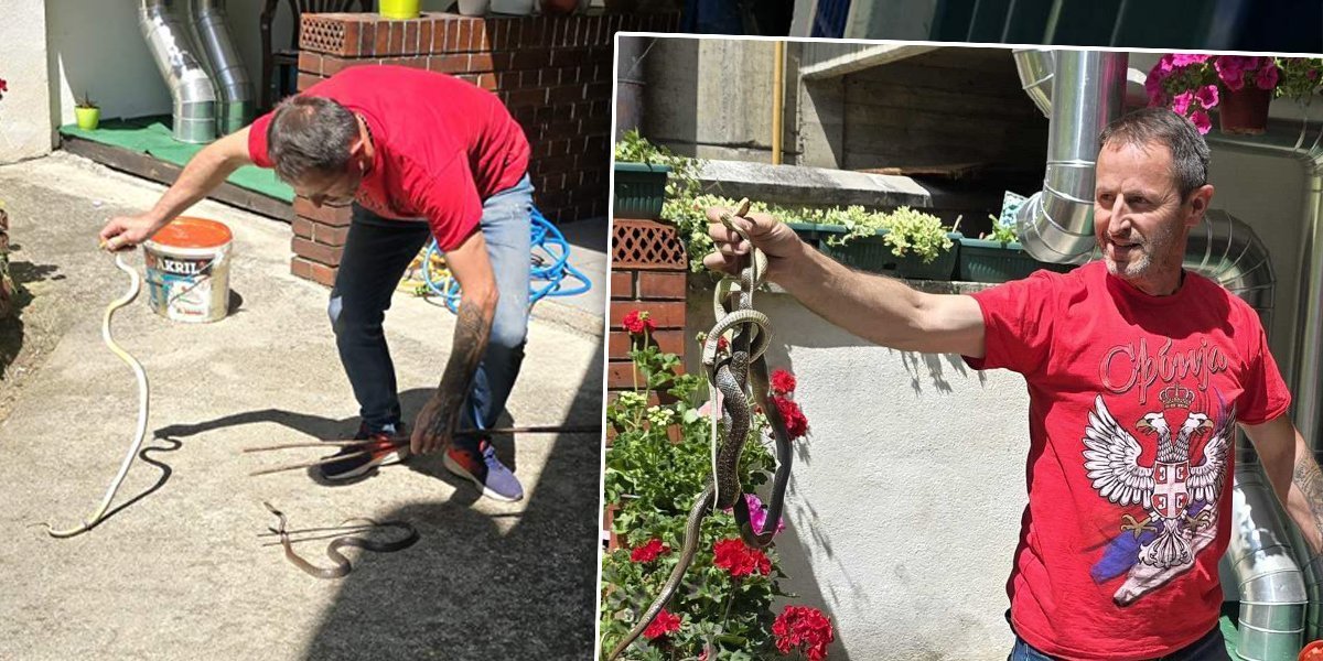 Uhvatio zmije u nezgodnom trenutku! Najpoznatiji užički "zmijar" uputio sugrađanima važno upozorenje (FOTO)