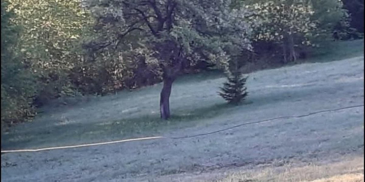 Ovaj kraj opet "biju" jutarnje slane! Meštani se plaše samo jednog!