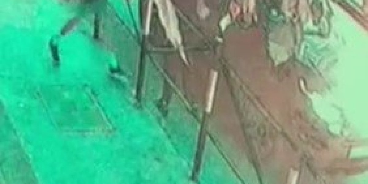 Snimak sa sigurnosne kamere