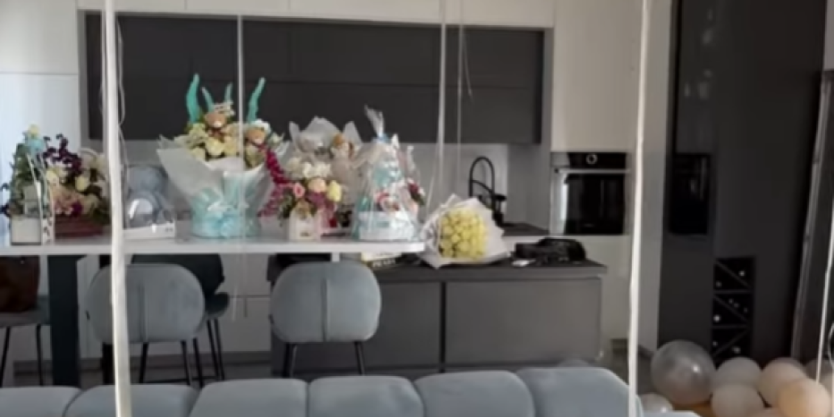 Stan Davida Dragojevića