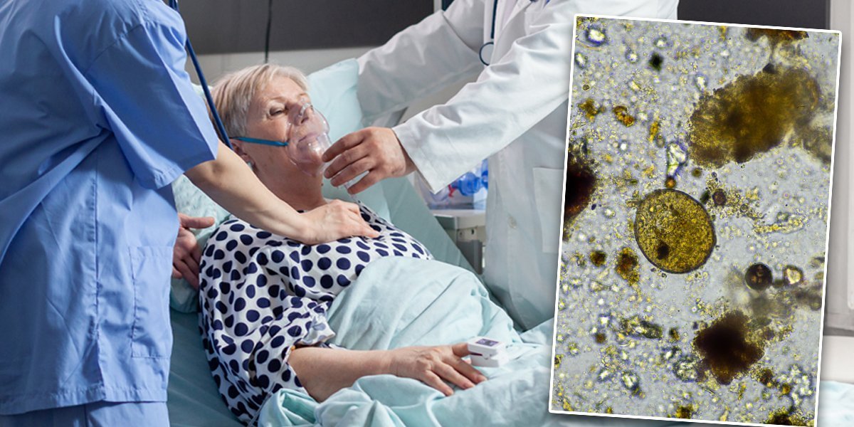 Žena isprala nos vodom, pa umrla: Ušmrkala amebu koja joj je pojela mozak