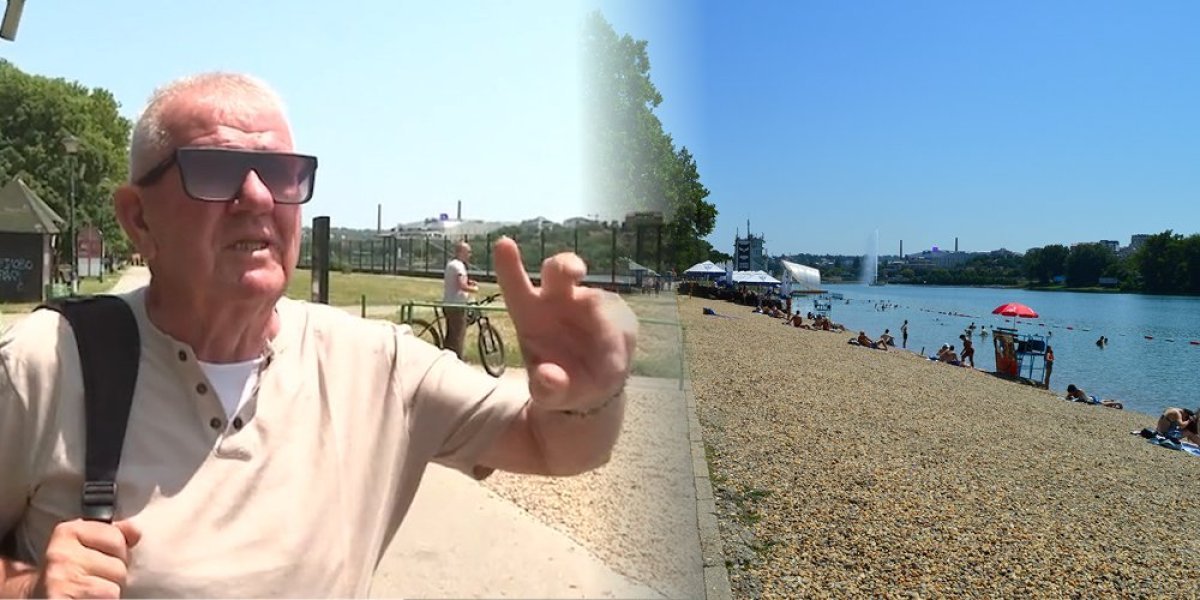 Ogromna riba viđena u Adi Ciganliji! Nazvali je "beogradska ajkula", a evo o kojoj vrsti je reč (VIDEO)