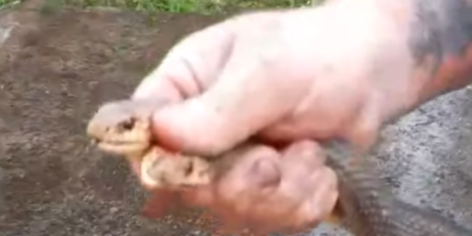 Izneo je iz škole ko igračku: Vladica imao još jednu hitnu intervenciju (VIDEO)