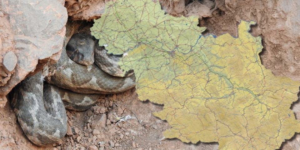 Pet godina se krila u šupi, a onda usledio šok! Vladica izvukao zver dugu dva metra (VIDEO)