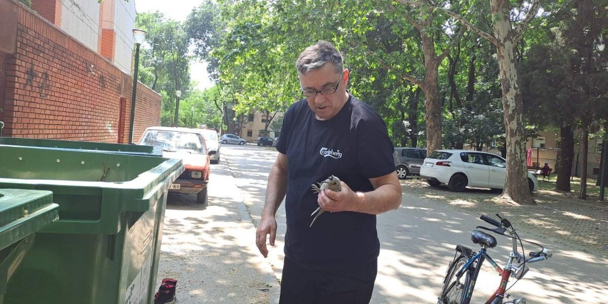 Dirljivo! Reporter Informera nasred ulice u Kikindi prisustvovao neverovatnoj sceni