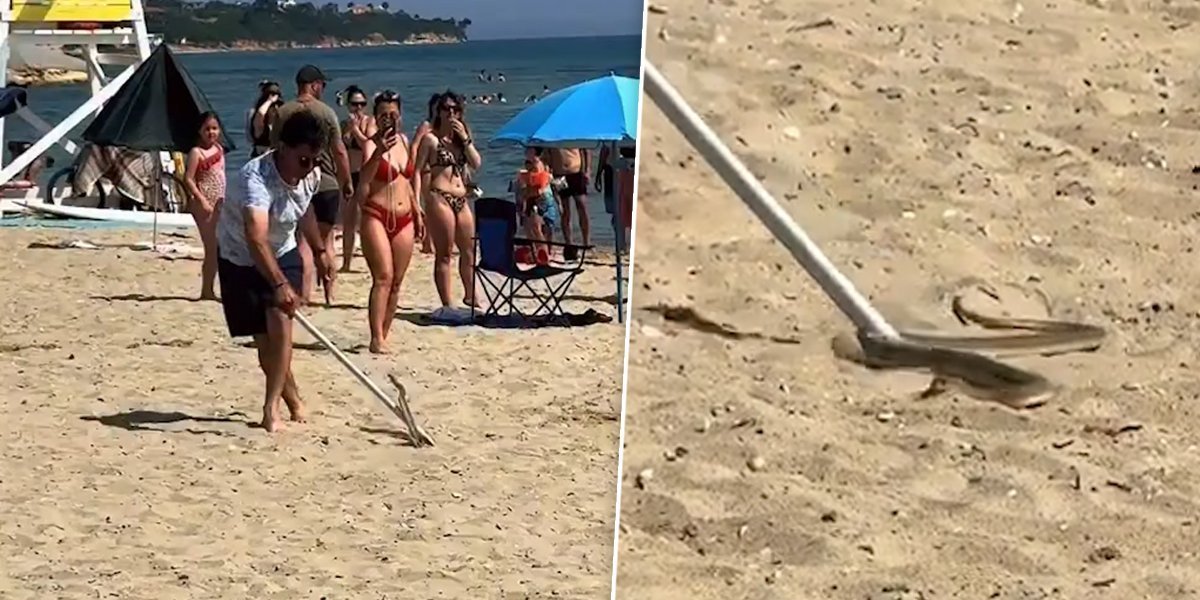 Stravičan snimak sa Halkidikija: Uhvaćena zmija na plaži (VIDEO)