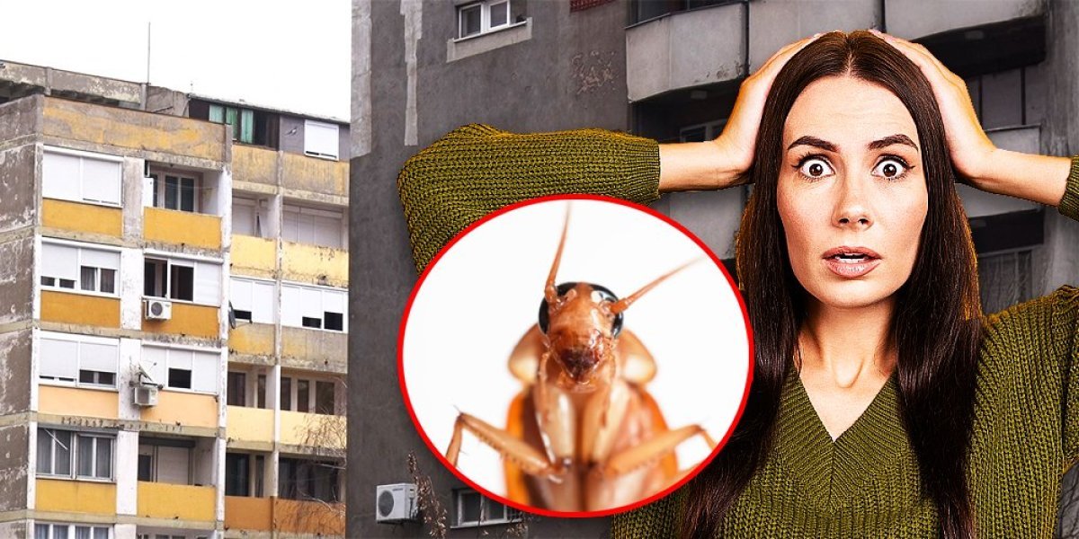 "Množe se ko lude, padaju na glavu, ulaze u krevete!" Šapčani na mukama