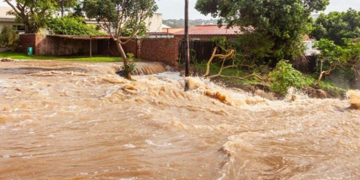 Poplave u Južnoj Africi odnele 49 života, bujica ponela školski autobus, deca visila sa drveća (VIDEO)