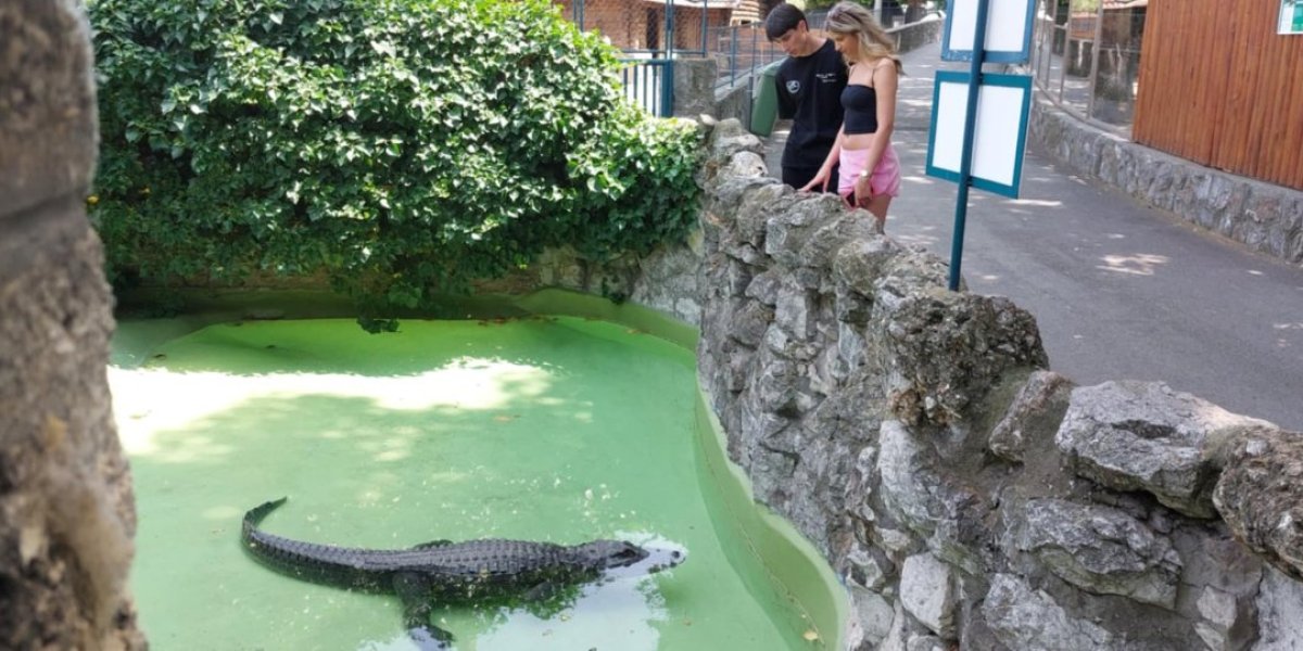 Ima više od 90 godina, a pliva ko zver! (VIDEO)