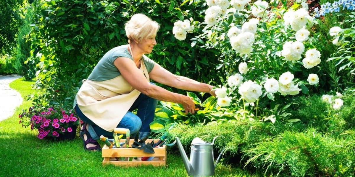 Zalivanje cveća na plus 30: Radite ovo svaki dan i imaćete rajski balkon pun bujnih biljaka