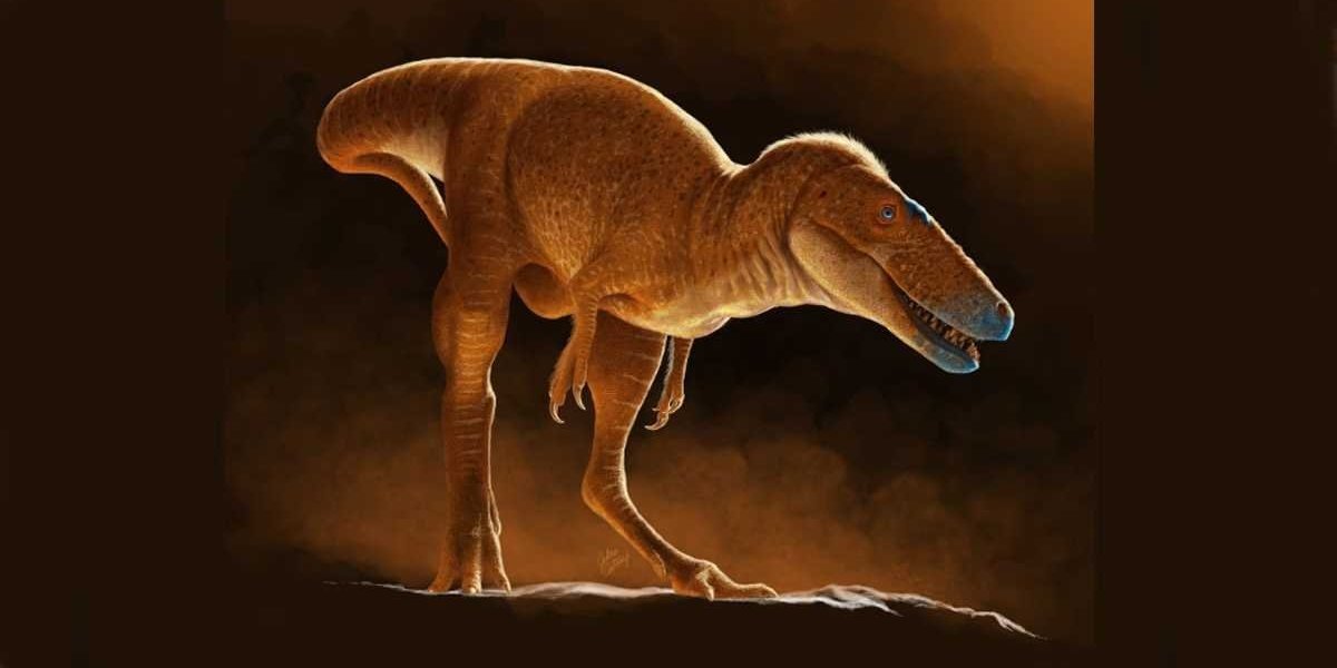 Otkrivena nova vrsta dinosaurusa: Nećete verovati koja joj je uloga