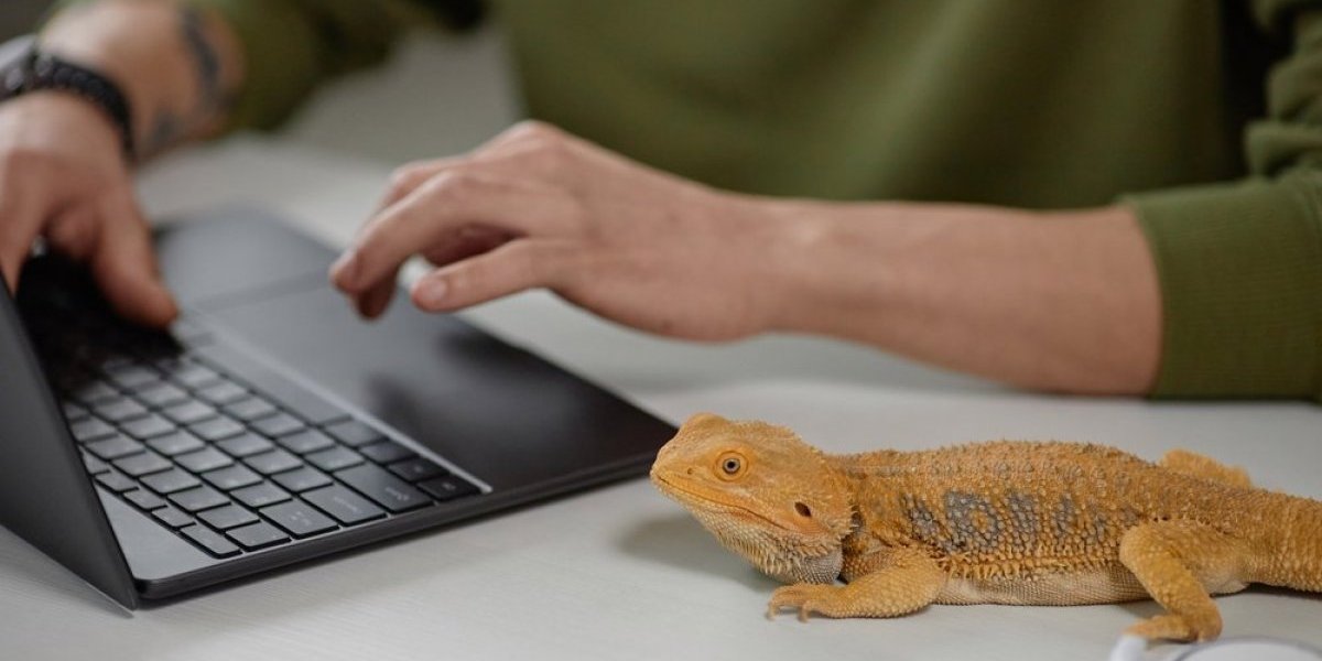 Sve što bi trebalo da znate pre nego što nabavite iguanu: Kako da odgajate egzotičnog ljubimca (FOTO)