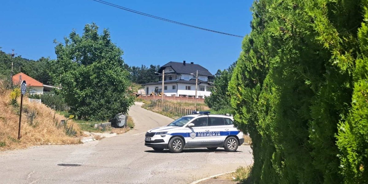 Rekonstrukcija nestanka Danke Ilić