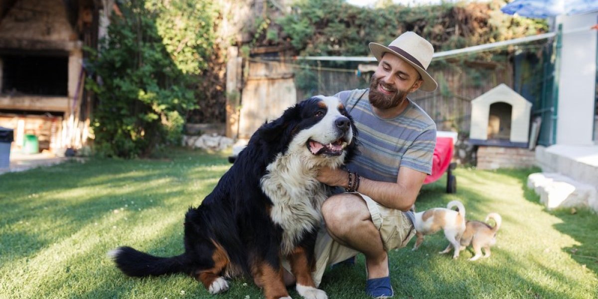 5 najčešćih zabluda o velikim psima - Svi ih se plaše zbog veličine, a evo šta je prava istina