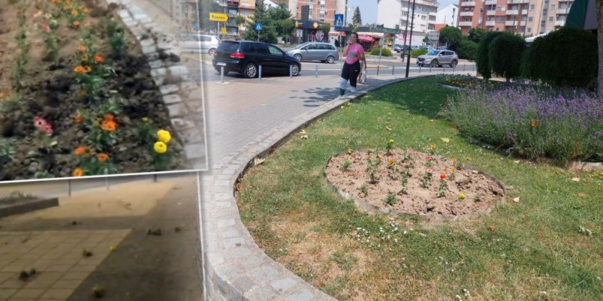 Šta radite to? Grupa maloletnika urnisala gradski park (VIDEO)