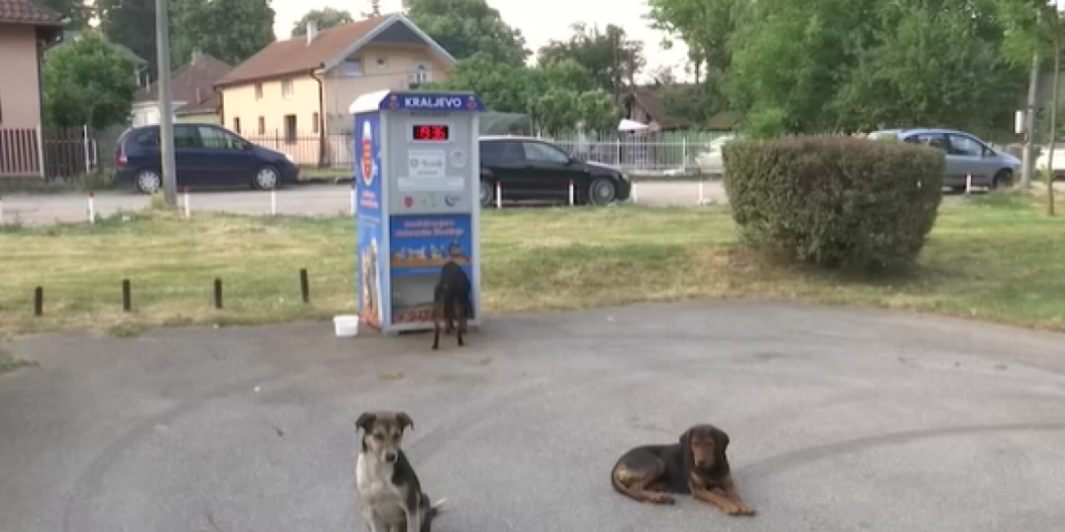 Dobra ideja: U Kraljevu ovaj aparat hrani pse