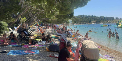 Turisti koji letuju u Rovinju uspaničili su se kada se u Jadranskom moru pojavilo nepoznato stvorenje.