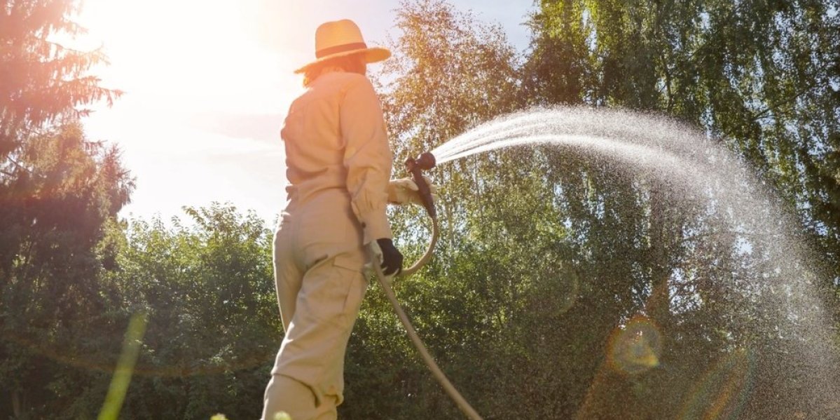 Letnja biljka kojoj ne treba zalivanje: Zelena lepotica koja trpi ogromne vrućine i lako se održava - neće vam trebati ni kap vode