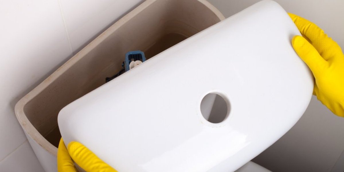 Bizaran trend sa mreža: Ljudi masovno stavljaju ovo u vodokotlić - vodoinstalateri u šoku (VIDEO)