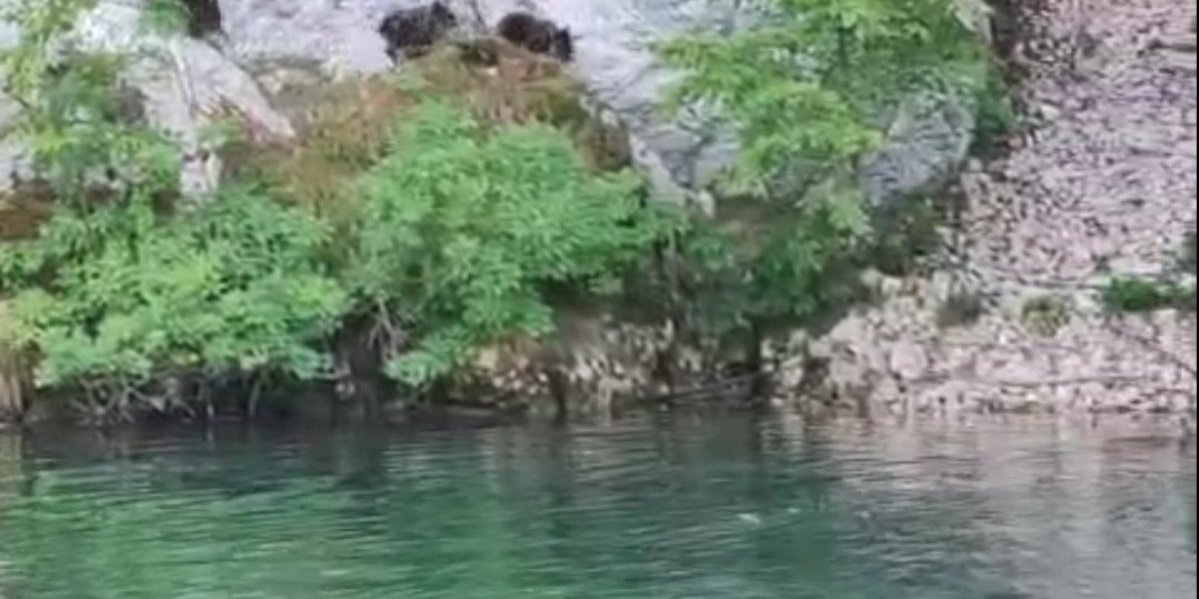 Izbegavajte ovaj kraj, ako idete na Taru: Stiglo novo upozorenje