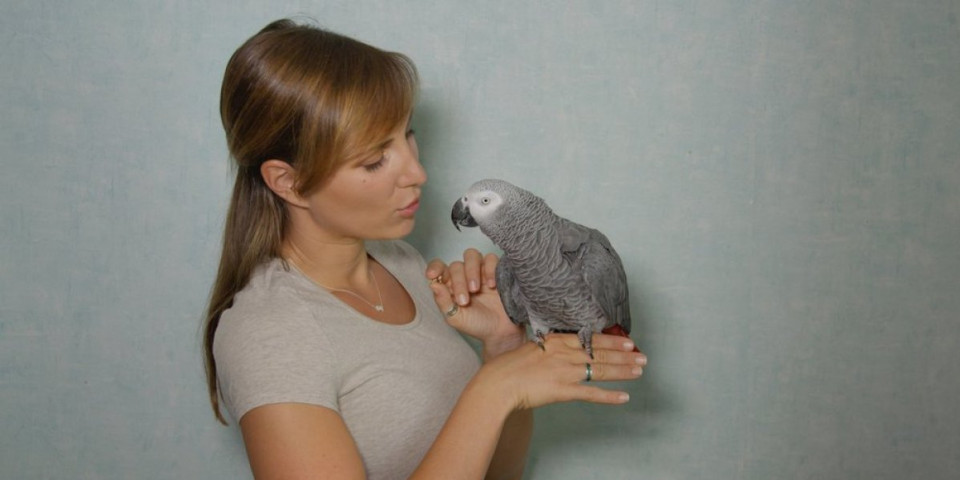 Za nevericu! Papagaj šopingholičar: Oplačkao svoju vlasnicu preko Amazona