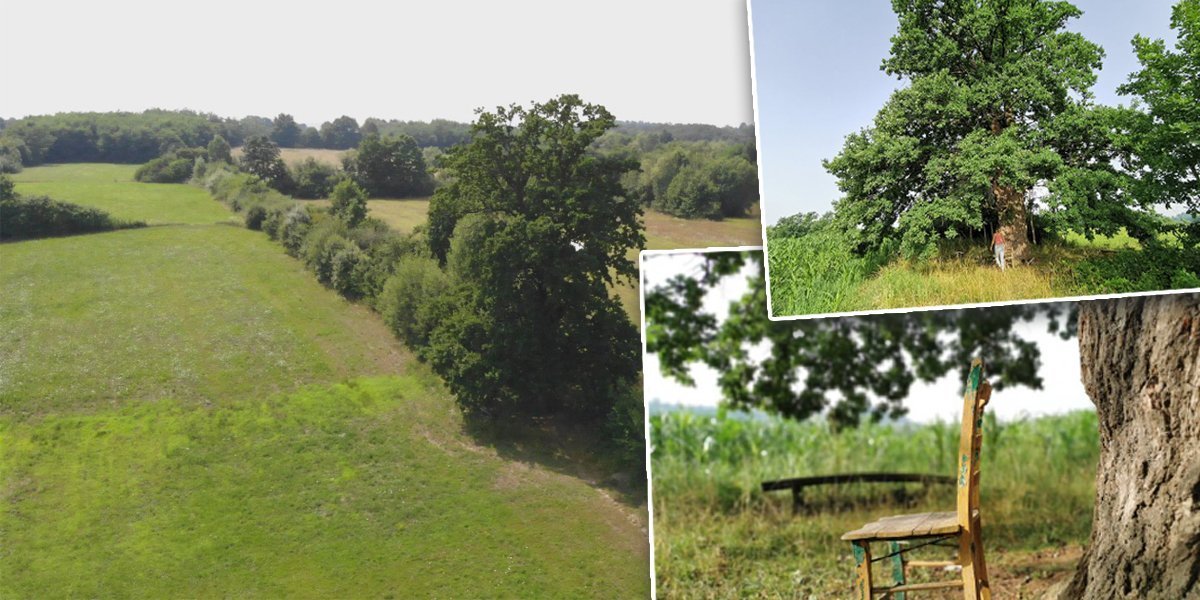 Čudo u selu Tijanjica! Svako ko je posedeo bar malo ispod njega ustao je preporođen, zaista je magičan (FOTO)