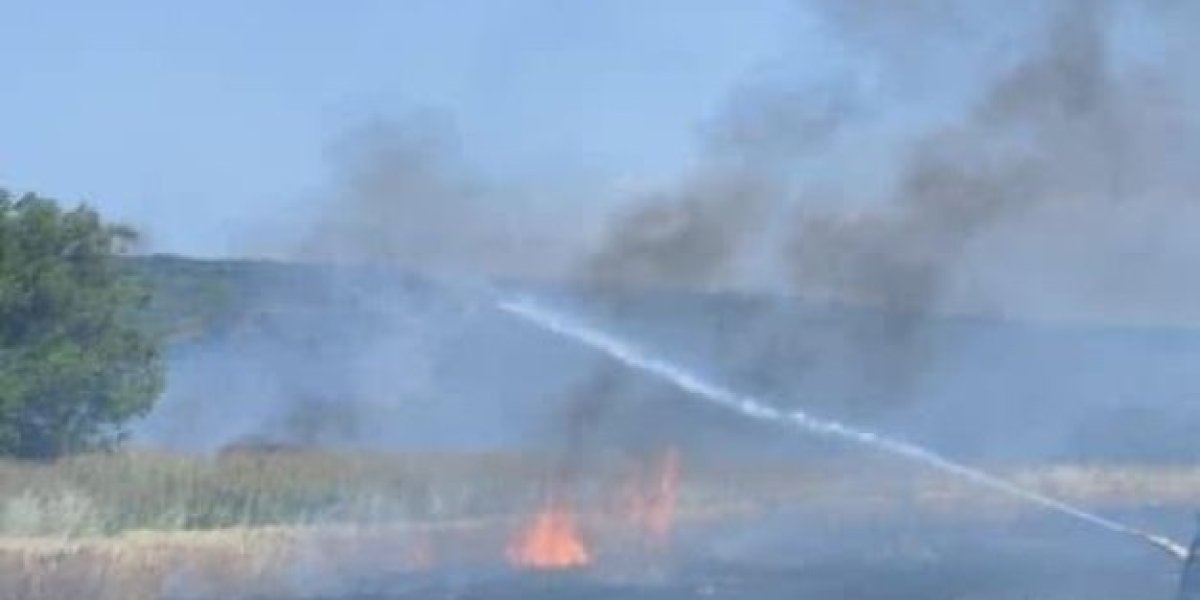 Gore hektari pšenice: Visoke temperature napravile haos