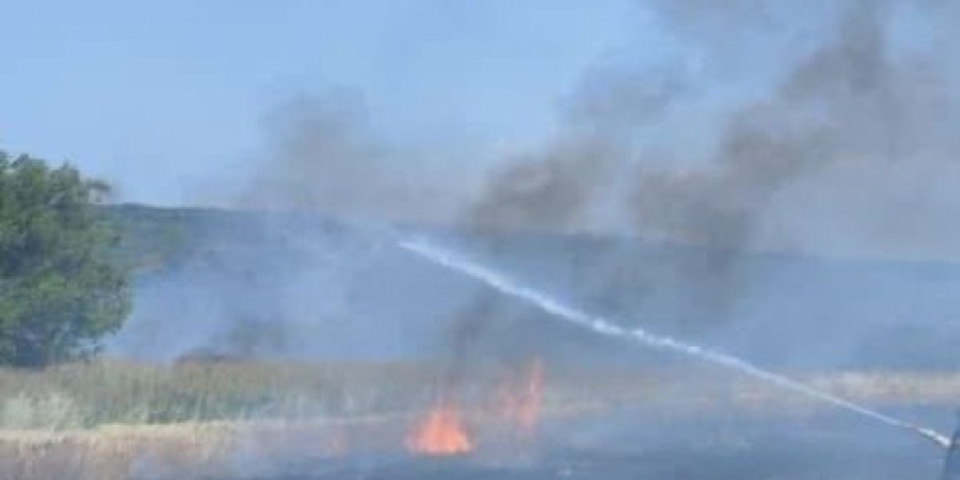 Gore hektari pšenice: Visoke temperature napravile haos