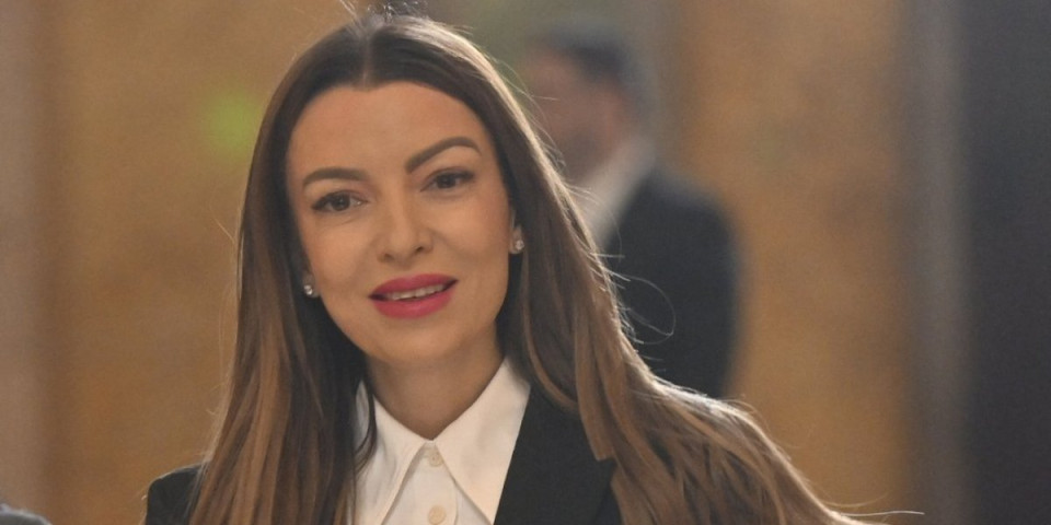 Mesarović: SNS brine o svakom radnom mestu za razliku od stranke koju vodi Đilas