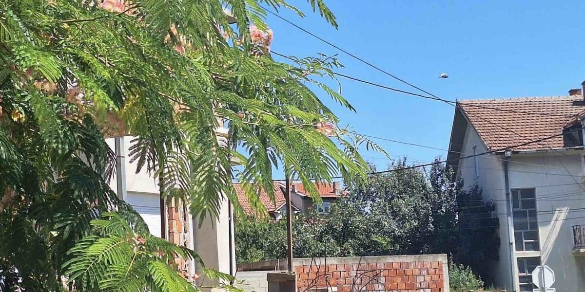 Kuća u Kojoj je žena brutalno ubijena