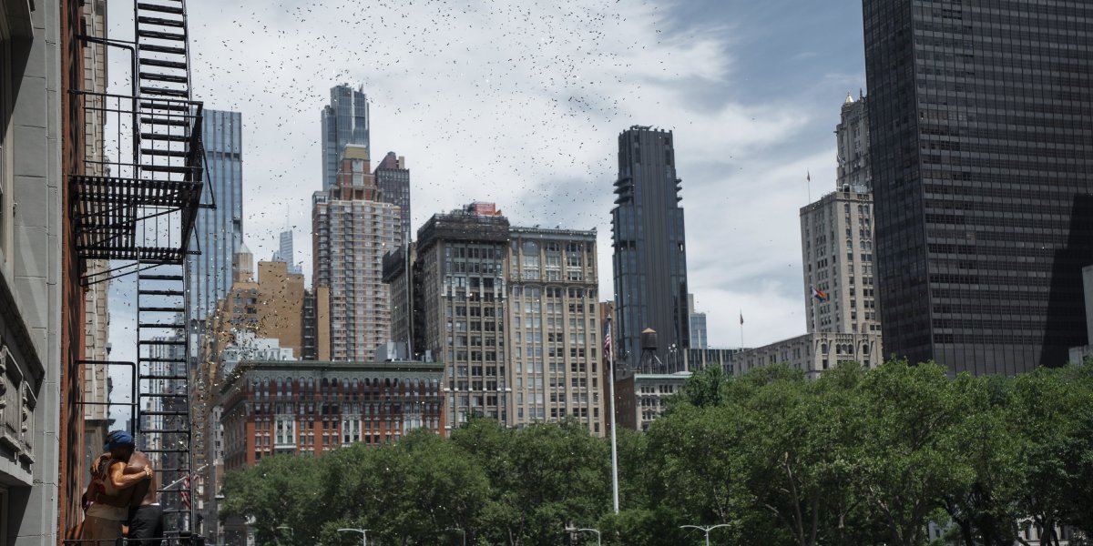 Skandal u Njujorku! Novinarka otvorila paket čipsa, a unutra je imala šta i da vidi!