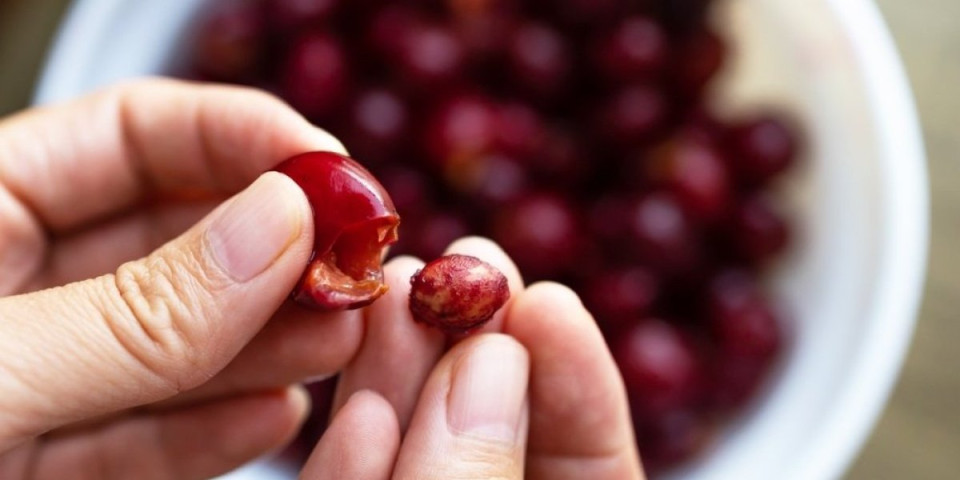 Trik koji je zaludeo domaćice: Nikad lakše očistite višnje i trešnje od koštica