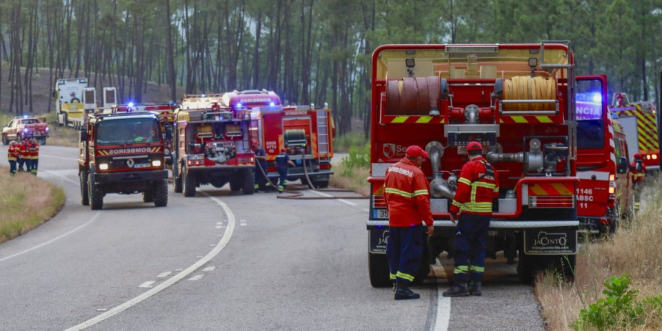 Požar guta Sitoniju! Borova šuma gori, kuće u plamenu, naređena hitna evakuacija