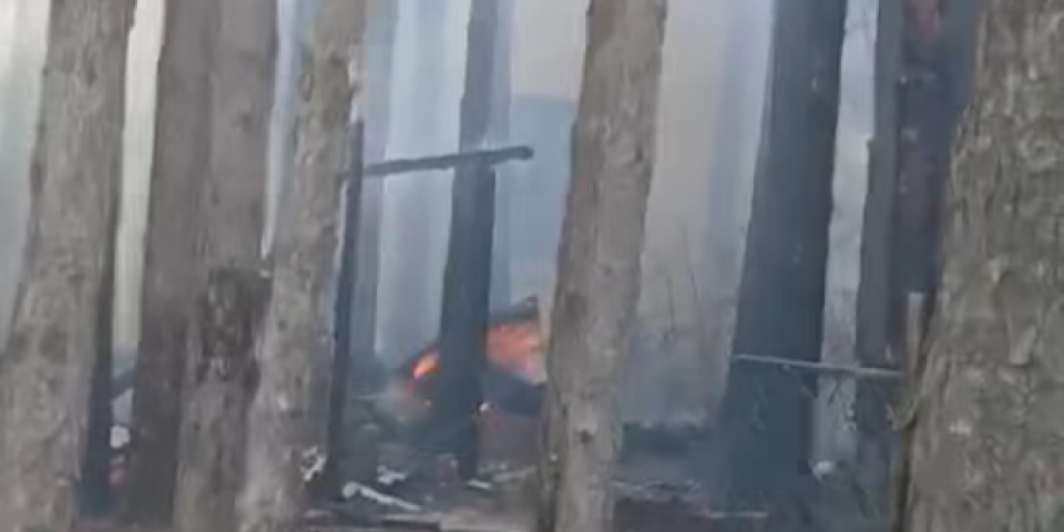 Gori najveće vikend naselje u Srbiji: Evakuacija u toku, dok vetar širi plamen (VIDEO)