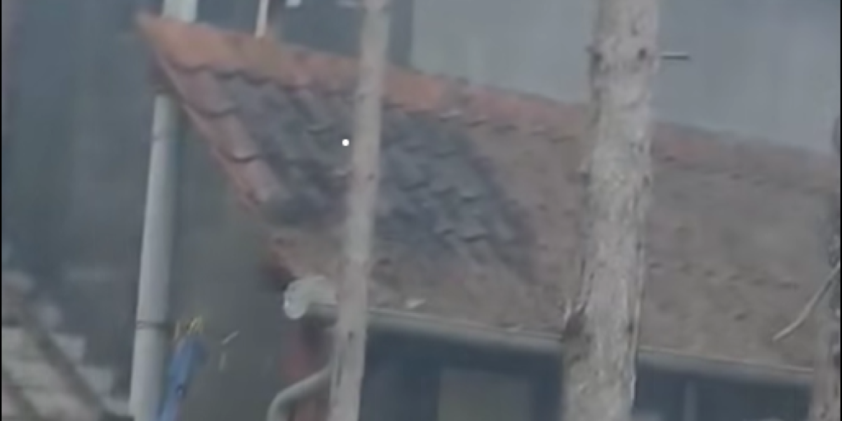 Požar zahvatio borovu šumu 