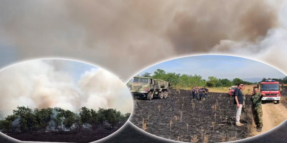 Požar u Braničevskom okrugu ne jenjava! U plamenu hektari njiva sa žitom (VIDEO/FOTO)