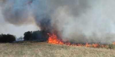 Veliki požar zahvatio je danas šumu i nisko rastinje u selu Rečica u opštini Zitorađa, nezvanično saznaje Informer.